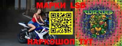 герыч Гатчина