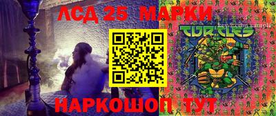 ешки Гай