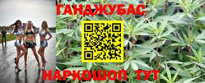 прущие грибы Гагарин