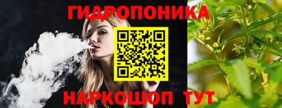 прущие грибы Гагарин