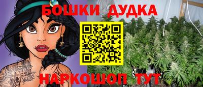 ешки Гай