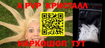 ешки Гай
