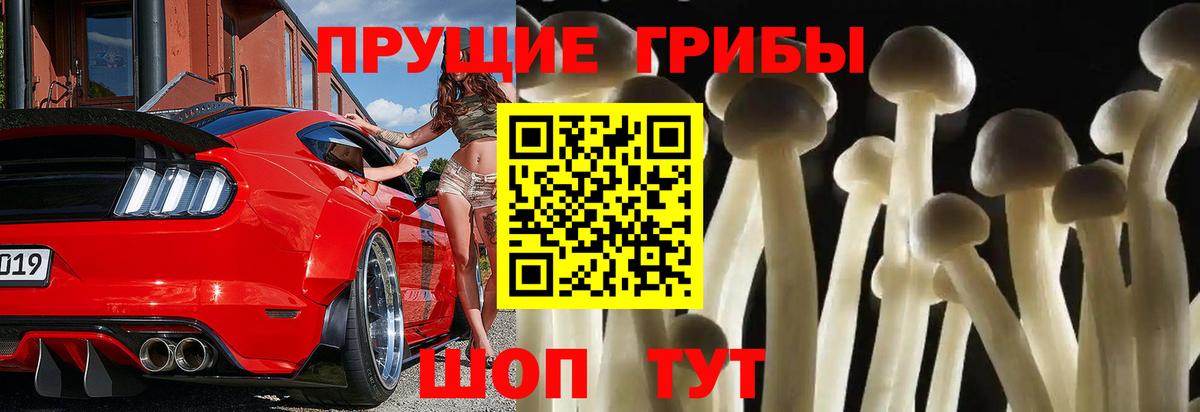 Галлюциногенные грибы MAGIC MUSHROOMS  Галлюциногенные грибы GOLDEN TEACHER  Вход с VPN  Семёнов 